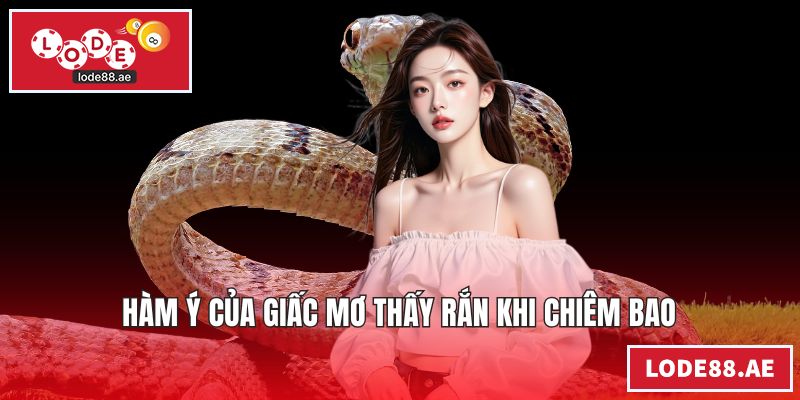 Hàm ý của giấc mơ thấy rắn khi chiêm bao