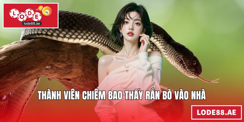 Thành viên chiêm bao thấy rắn bò vào nhà