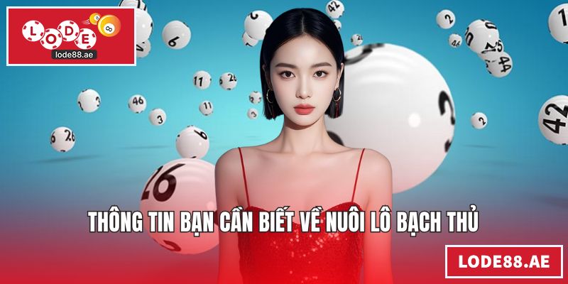 Nuôi Lô Bạch Thủ - Cách Chọn Con Lô Chuẩn Tỷ Lệ Thắng Cao Thông tin bạn cần biết về nuôi lô bạch thủ